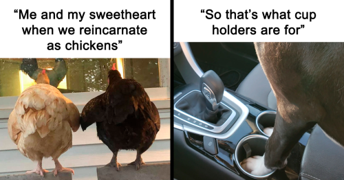 34 Wholesome Memes To Restore Your Faith In Humanity