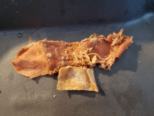 38 Times People Had A Repulsive Restaurant Experience And Just Had To Share