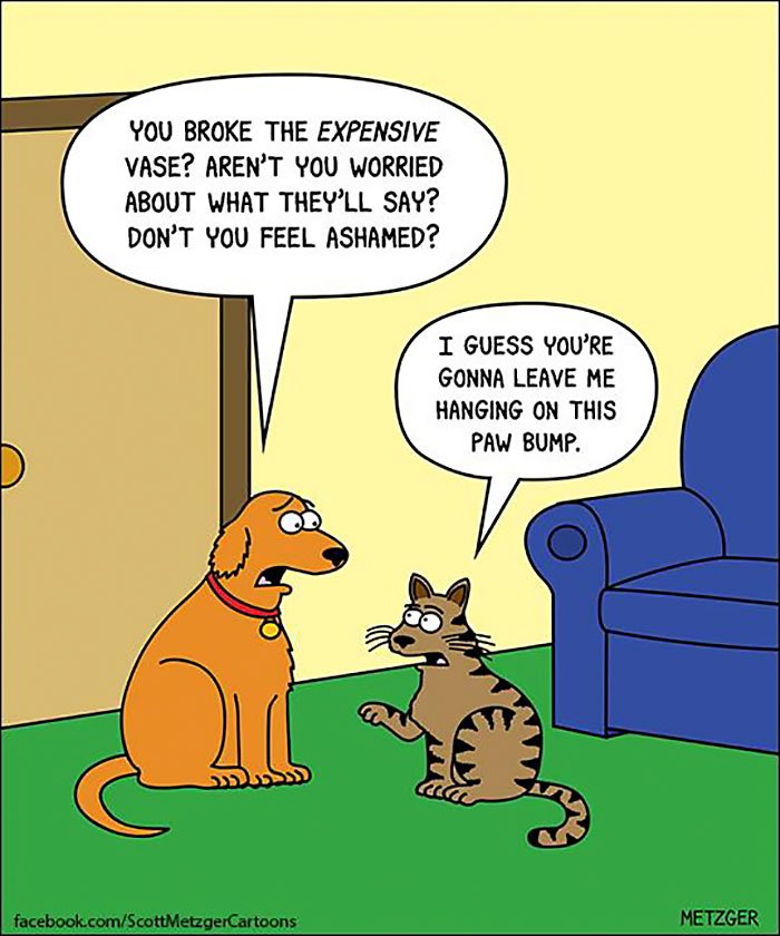 Funniest Dog and Cat Jokes You're Going to Love