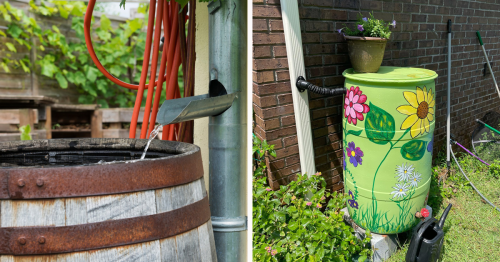 How To Make A DIY Rain Barrel In 8 Simple Steps