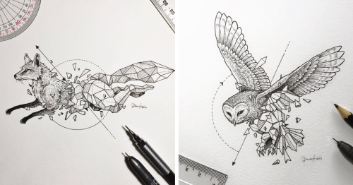 Intricate Drawings Of Wild Animals Fused With Geometric Shapes | Flipboard