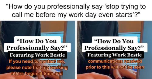 39 Phrases That Sound Professional And Inoffensive To Say When You Are Annoyed With A Colleague, Shared By This TikToker