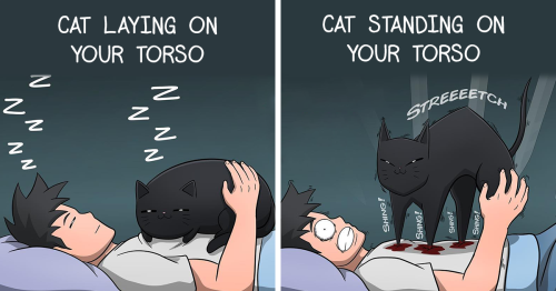 60 Amusing Comics That Show What Everyday Life With A Cat Looks Like By Cody Stone Stowe (New Pics)