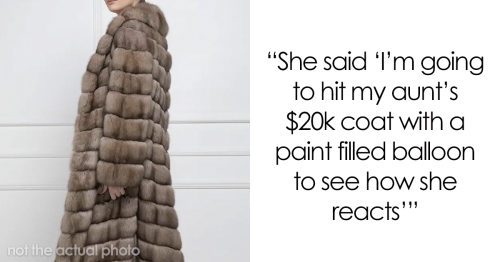Teenager Ruins Her Aunt’s $20K Coat As A “Prank”, Aunt Decides To Take Legal Action