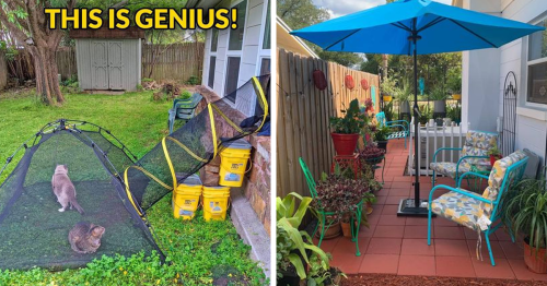 This Online Gardening Community Has People Sharing Their Creative Gardening Projects And Here Are 80 Of The Best Ones