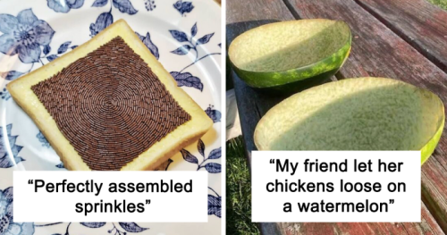People Are Sharing Oddly Satisfying Pics Of Nearly Perfect Food, Here Are 44 Of The Best