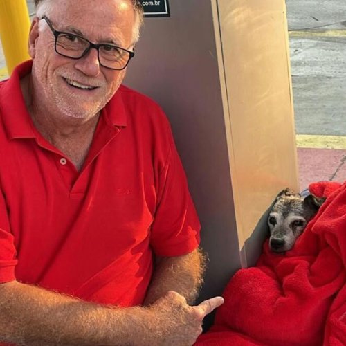 This Elderly Stray Dog Found A Home At A Gas Station, Now, An Entire Town Looks After Him