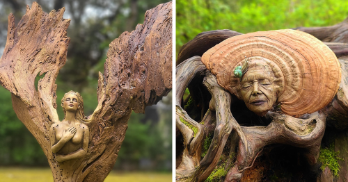 This Canadian Artist Makes Incredible Sculptures Out Of Driftwood, Seashells, Dried Mushrooms And More (38 New Pics)