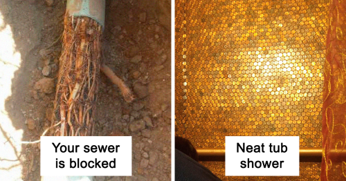 This Guy Has Been A Plumber For 2 Years, And Here Are The Crazy Things He’s Seen On The Job (30 Pics)