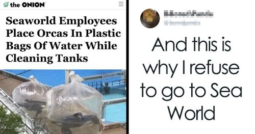 50 Times People Fell For Fake Satirical Articles And Made Fools Of Themselves Online