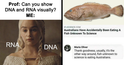 These 50 Science Memes Unite Brains With Chuckles And Result In A Good Time For All