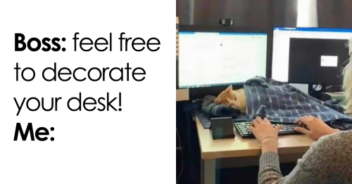 136 Hilarious Workplace Memes That You Might Relate To