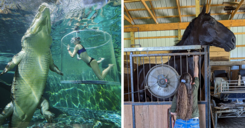 46 Animals So Giant It’s Hard To Believe They’re Real