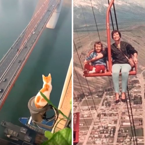 “Hell No”: 50 Times This Online Group Made People’s Palms Sweat With Just Images