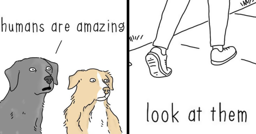Artist Reveals What Animals Would Say If They Could Talk (30 New Pics)