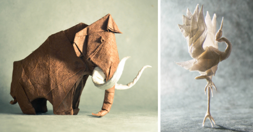 140 Incredible Origami Animals By Spanish Artist Gonzalo Calvo