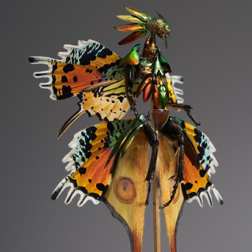 This Artist Creates Surreal Fairies, Floral Skeletons, And Mythical Creatures Out Of Natural Materials (33 Pics)