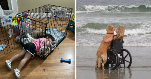 110 Uplifting Dog Posts To Make Your Day Better (New Pics)