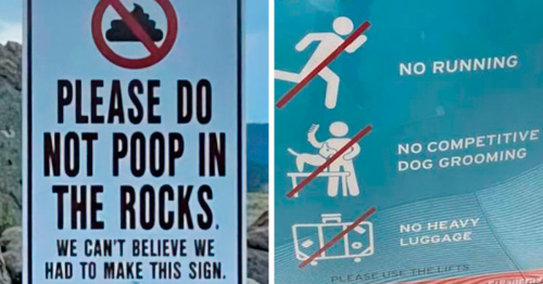 40 Times People Spotted Such Hilarious And Absurd Signs, They Had To Share Them On This Facebook Group