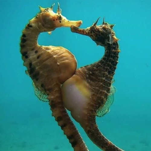70 Fascinating Posts And Stories For The Curious Among Us