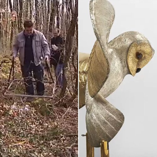 ‘Do Not Keep Digging!’: Treasure Hunt For Famed Golden Owl Ends After ...