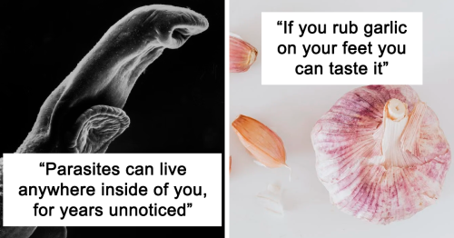 55 People Share The Scientific Fact That Creeps Them Out The Most