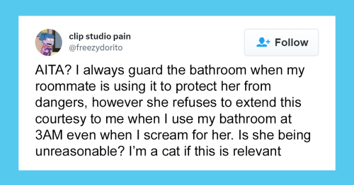 This Twitter Thread Has People Sharing AITA Posts: Cats Edition
