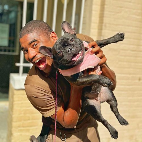 UPS Driver Posts The Adorable Dogs He Meets On Routes And The Internet Is Here For It (80 New Pics)