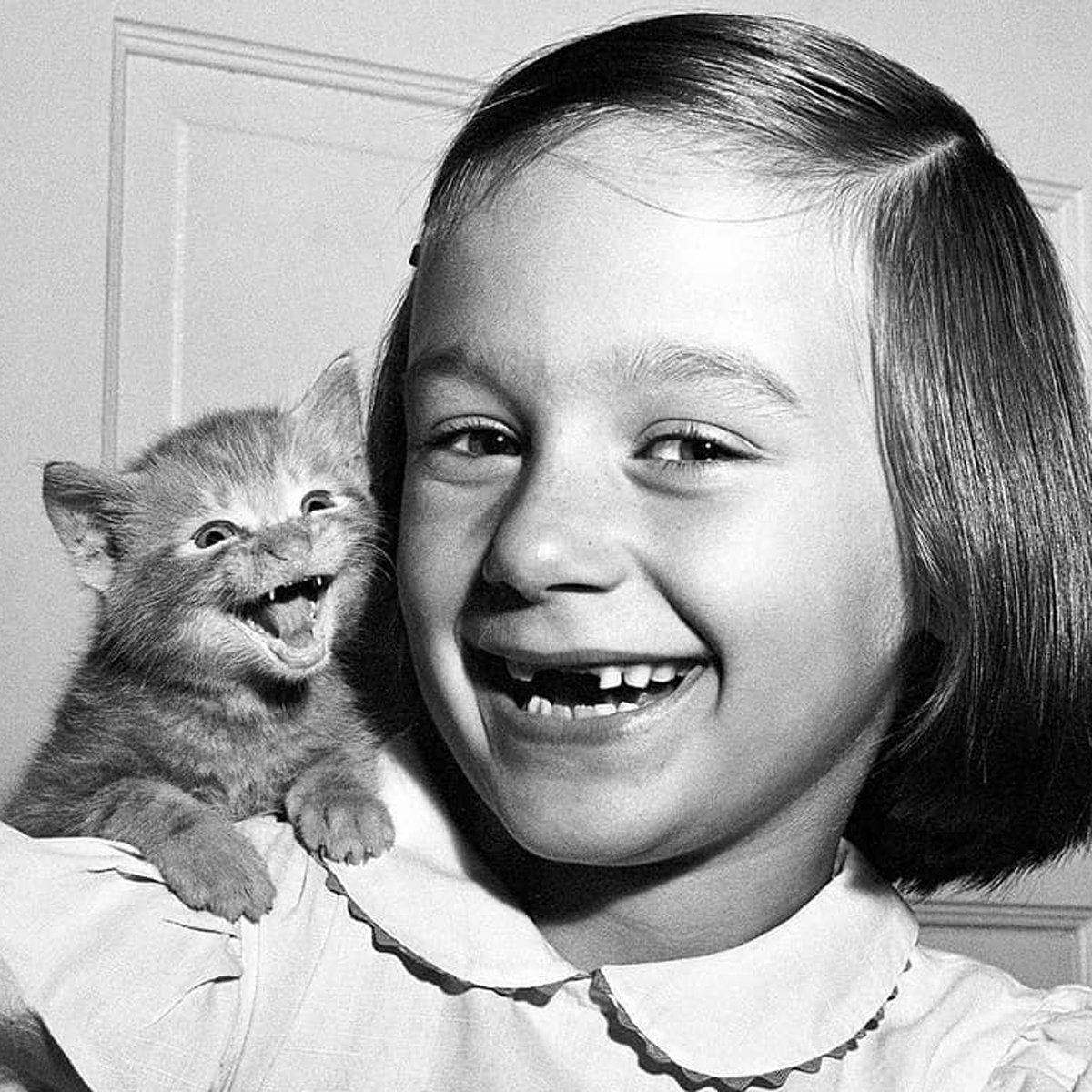 29 Vintage Photos That Show Animals Have Always Stolen The Spotlight, As Shared By This Page