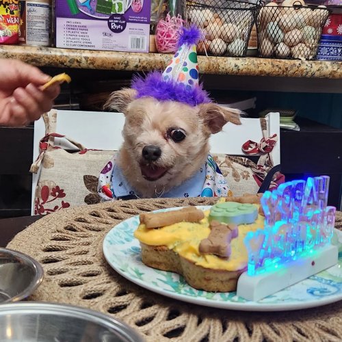 127 Positive And Uplifting Posts That Might Make Your Day Brighter