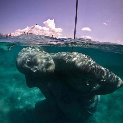 30 Times The Ocean Coughed Up Something It Shouldn’t Have