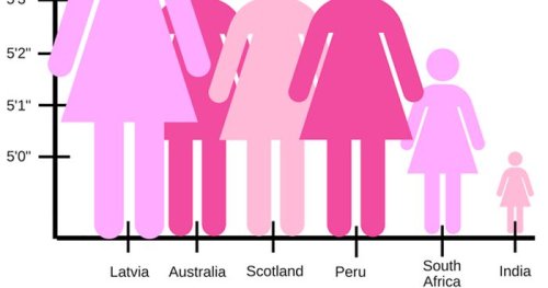 Someone Posts A Pictograph Of “Average Female Height” And People’s Commentary Is Hilarious