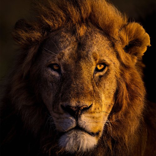 These Photographers Capture Nature’s Most Breathtaking Moments, And Here Are Their 30 Best Shots