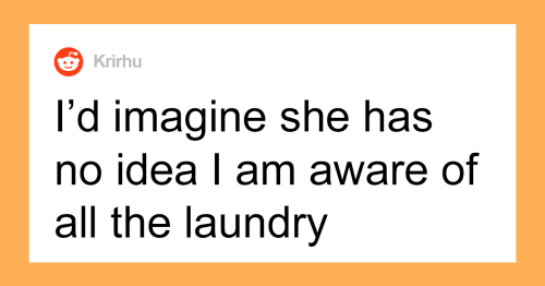 Dog Sitter Secretly Does “Insane Amounts Of Laundry” While The Owner Is Away, Owner Asks If He Should Confront Her About It