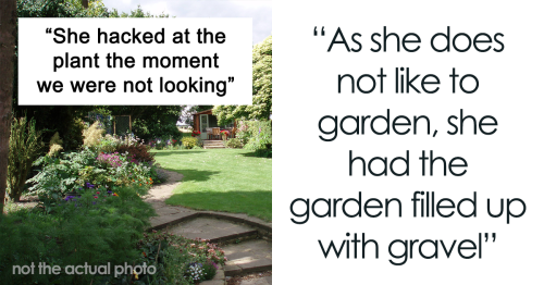 “It Is All But Impossible To Get Rid Of”: Person Plants Mint As Revenge For A Lying Neighbor Interview With Author