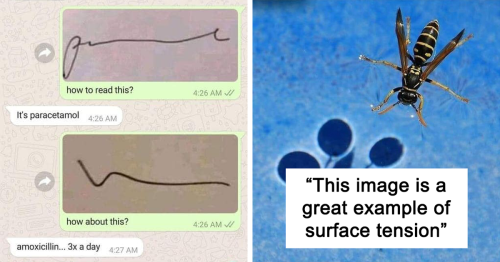 50 Of The Cleverest Science Memes That Perfectly Blend Humor With Knowledge