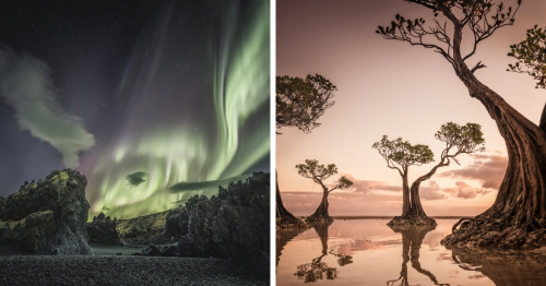 The International Photo Awards 2022 Announced Their Winning Nature Images (20 Pics)