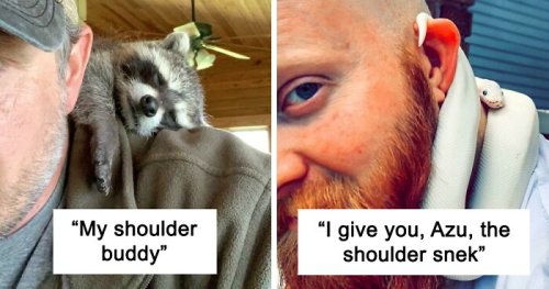 People Are Posting Their “Shoulder Animals”, And Here Are 50 Of The Cutest Ones