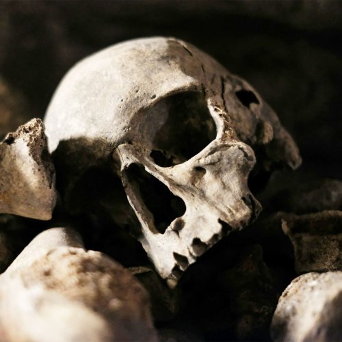 52 Horrifying Historical Facts That Few People Know About