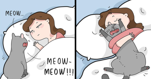 Artist Illustrates What It’s Like To Live With A Cat (29 Pics)
