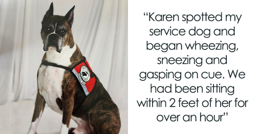 Karen Spots A Service Dog On A Plane And Suddenly Develops A Severe Allergy, Demands They Be Removed From The Plane But Earns Them A Seat In First Class Instead Interview