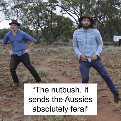 40 Non-Australians Share What Shocks Them Most About The Land Down Under