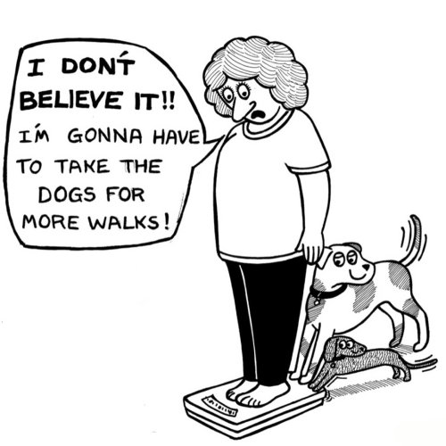 “Off The Leash”: 30 Relatable Comics About The Reality Of Owning A Dog (New Pics)