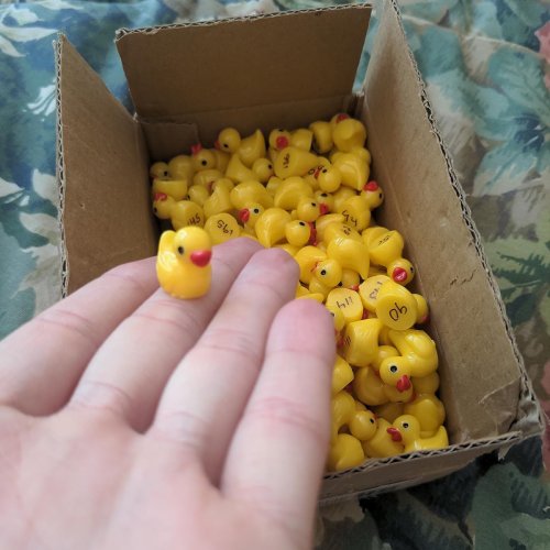 28 April Fools Pranks That Won’t Get You Uninvited From The Family Group Chat
