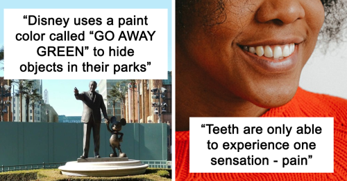 ‘Today I Learned’: 33 Interesting Things People Didn’t Learn At School (New Pics)