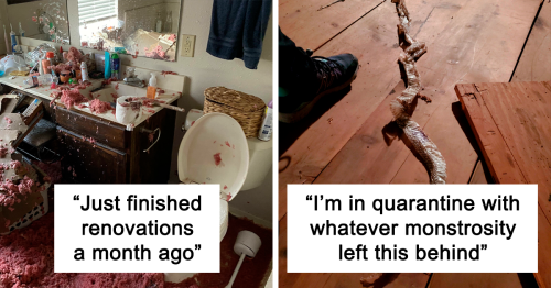 “Well, That Sucks”: 30 Times Really Unfortunate Things Happened To People’s Homes (New Pics)