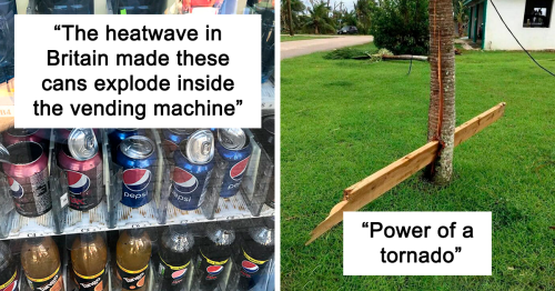 43 Crazy Pics Of Mother Nature Doing Things On Its Own Terms