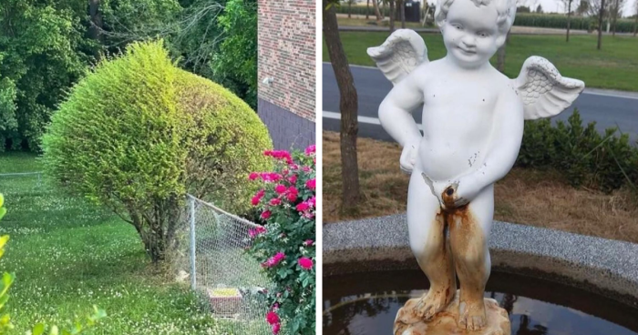 30 Times People Went Out Of Their Way To Make Their Gardens And Yards Unique But Ended Up With These (New Pics)
