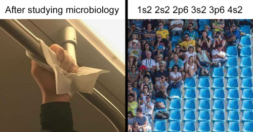 This Page Is Posting Science Memes And Here Are 50 Of The Best Ones