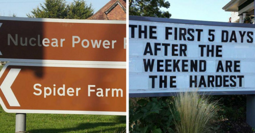 Facebook Page Shares 50 Pictures Who Are Winning The Funny Sign Game |  Flipboard